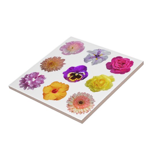 Carreau Fleurs colorées (Côté)