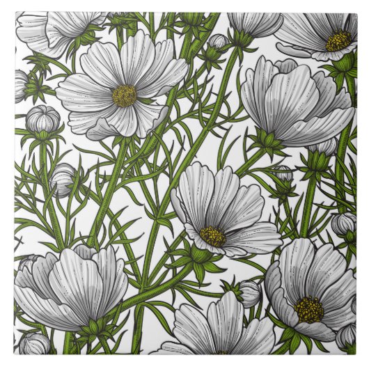 Carreau Fleurs cosmos blanches (Devant)