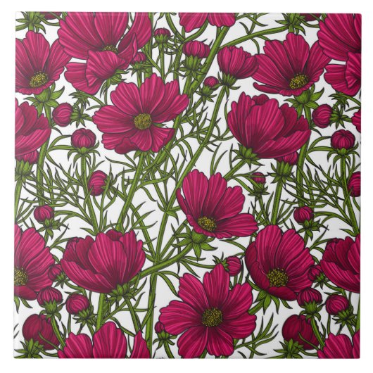 Carreau Fleurs Cosmos roses (Devant)