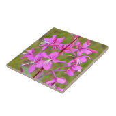 Carreau Fleurs d'Alaska roses de Fireweed en fleur (Côté)