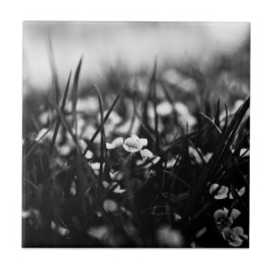 Carreau Fleurs dans le champ au printemps