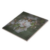 Carreau Fleurs d'Apple et bois patiné (Côté)