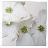 Carreau Fleurs de bois de chien de l'Est - Cornus florida (Devant)