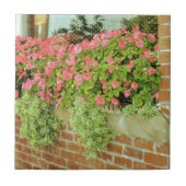 Carreau Fleurs de boîte de fenêtre (Devant)