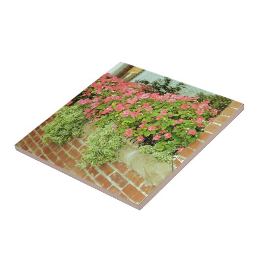 Carreau Fleurs de boîte de fenêtre (Côté)