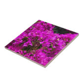 Carreau Fleurs de bougainvillée violette (Côté)