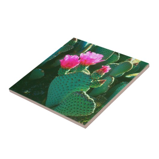 Carreau Fleurs de cactus à bec (Côté)