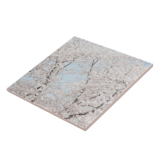 Carreau fleurs de cerisier (Côté)