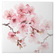 Fleurs de cerisier rose blanc