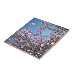Carreau Fleurs de cerisiers