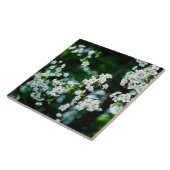Carreau Fleurs de cerisiers blancs Feuilles verts (Côté)