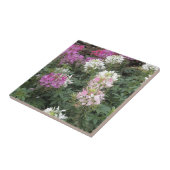 Carreau Fleurs de Clé rose et blanc (Côté)