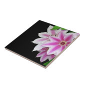 Carreau Fleurs de clématite roses et blanches (Côté)