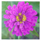 CARREAU FLEURS DE COULEUR FUCHSIA (Devant)