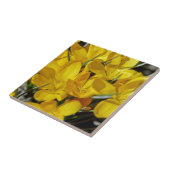 Carreau Fleurs de Crocus Jaune (Côté)