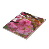 Carreau Fleurs de fleurs de cerisier rose chaud (Côté)