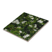 Carreau Fleurs de jasmin Botanique tropicale florale (Côté)