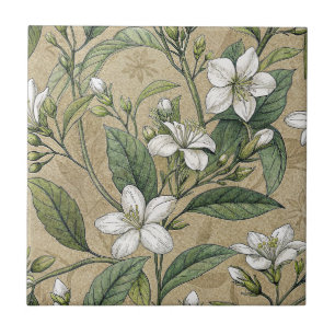 Carreau Fleurs de jasmin vintages botaniques beige transpa