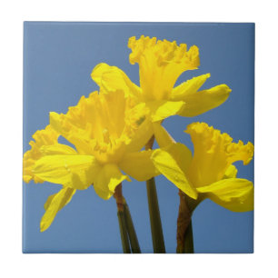 Carreau Fleurs de jonquille jaunes Carrelage Art Jonquille
