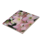 Carreau Fleurs de Kalanchoe (Côté)