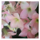 Carreau Fleurs de Kalanchoe (Devant)