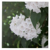 Carreau Fleurs de laurier de montagne blanc (Devant)