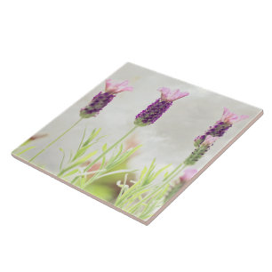 Carreau Fleurs de lavande