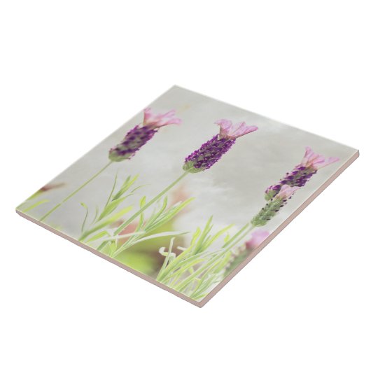 Carreau Fleurs de lavande (Côté)