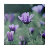 Carreau Fleurs de lavande violette délicates (Devant)
