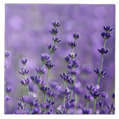 Carreau Fleurs de lavande violette foncée (Devant)