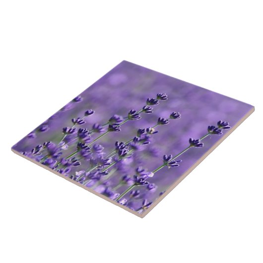 Carreau Fleurs de lavande violette foncée (Côté)