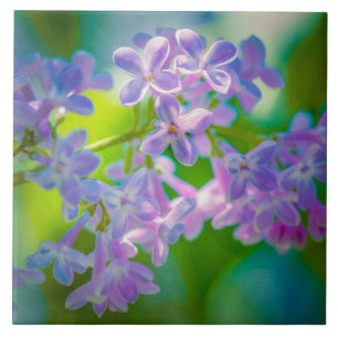 Carreau Fleurs de lilas violettes