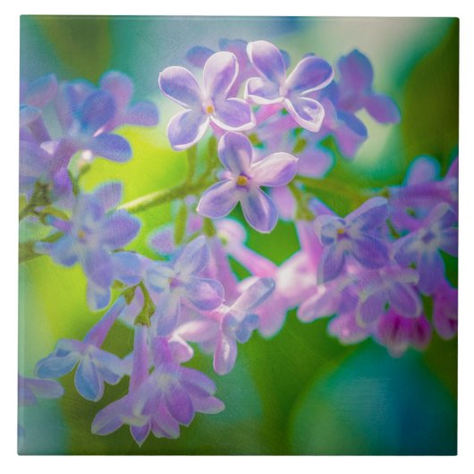 Carreau Fleurs de lilas violettes (Devant)