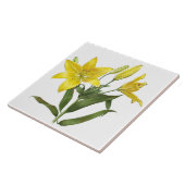 Carreau Fleurs de lys oriental jaune Art botanique (Côté)