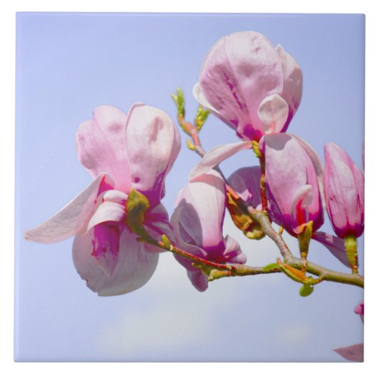 Carreau Fleurs de Magnolia Floral Botanical Blossom Chic (Devant)