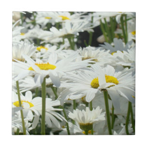 Carreau Fleurs de marguerite blanche Carrelage art Décorat