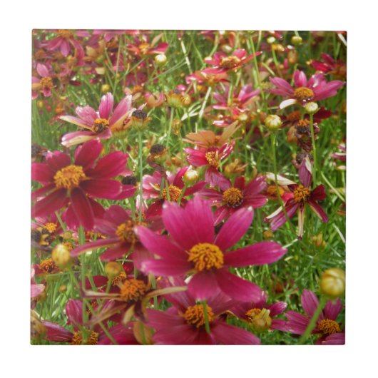 Carreau Fleurs de marguerite rose et jaune brillantes (Devant)