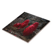 Carreau Fleurs de neige (Côté)