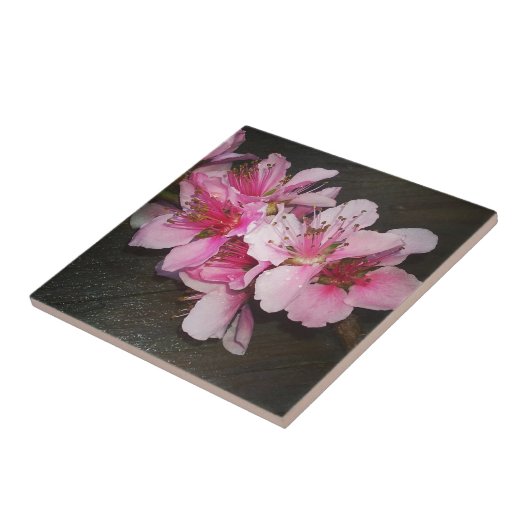 Carreau Fleurs de pêche (Côté)