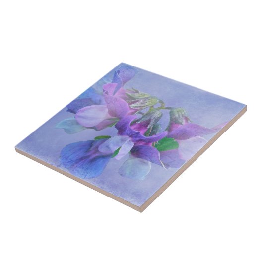 Carreau Fleurs de pois de plage (Côté)