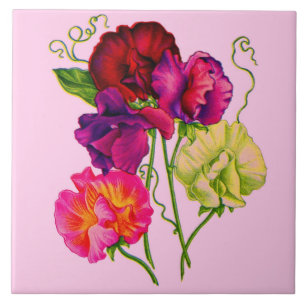 Carreau fleurs de pois doux en violet et rose