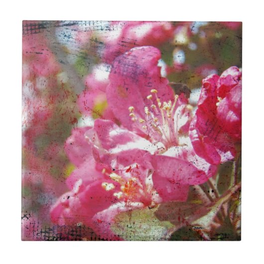 Carreau Fleurs de pommes de terre (Devant)