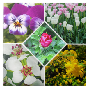 Carreau Fleurs de printemps