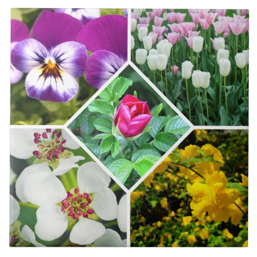 Carreau Fleurs de printemps (Devant)