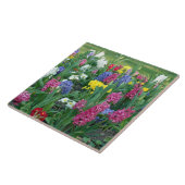 Carreau Fleurs de printemps, prairie (Côté)