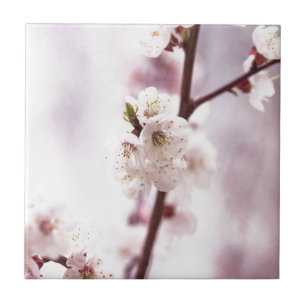 Carreau Fleurs de printemps roses
