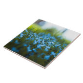 Carreau Fleurs de printemps sur le terrain (Côté)