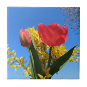 Carreau fleurs de printemps, tulipes, colorées + fleurs, b