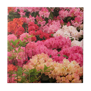 Carreau Fleurs de rhododendron