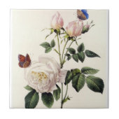 Carreau fleurs de rose blanche, Pierre Joseph Redouté (Devant)